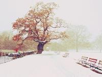 黛比-弗兰克一周星座运势（2.1-2.7）