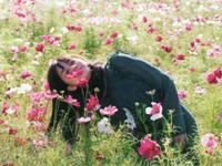 乐城星座运势（6.13-6.19）