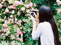 女巫树洞2016年12月巨蟹座运势