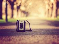 寂多蔓生一周星座运程（12.5-12.11）