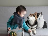 阿莎莉娅每周星座运势（2.13-2.19)