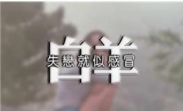 白羊男决心分手的表现