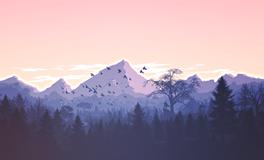 梦见家门口的山塌下来