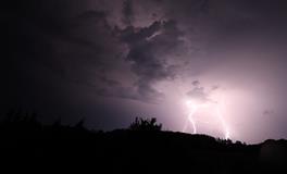 梦见雷电击中树木