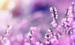 愿意为女友花钱，谈恋爱时最大方的星座男