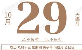 闹闹女巫店今日运势2020年10月29日