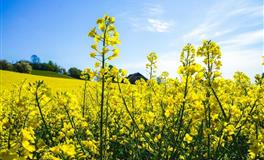 静电鱼每日运势2021年3月31日