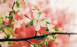 唐绮阳/唐立淇今日运势2021年7月23日