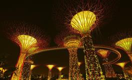 起空之花一周星座运势（12.6-12.12）