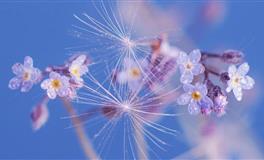 水逆详细提醒 ,12星座如何安全度过？