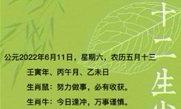 秦阳明每日生肖运势2022年6月11日