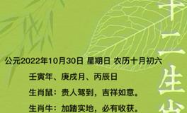 秦阳明每日生肖运势2022年10月30日