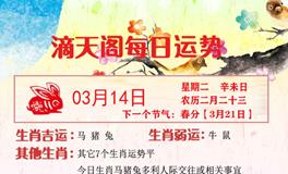 滴天居士2023年3月14日生肖运势