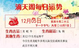 滴天居士2023年12月5日生肖运势