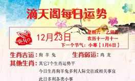 滴天居士2023年12月23日生肖运势