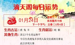 滴天居士2024年1月24日生肖运势