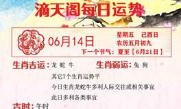 滴天居士2024年6月14日生肖运势