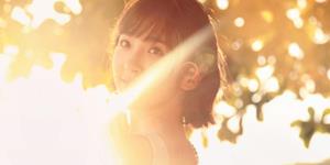 李云天2025下半年十二生肖运势