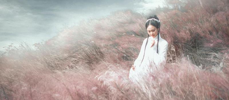 爱莎公主12星座一周塔罗运势（7.28-8.3）
