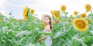 不卑不亢凭实力圈粉！社交场上真正的王者星座