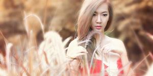 脆弱不了一点，自带坚强buff的星座