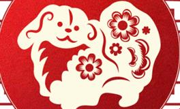 董易林生肖狗2025年11月运势