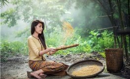 属兔白羊座2026年运势