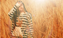 属猪金牛座2026年运势