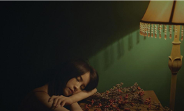 属鼠巨蟹座2026年运势