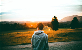 猫咪占星：水瓶座2025年11月运势解析