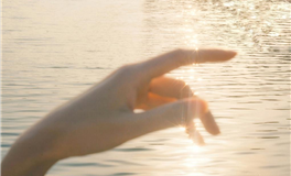 属牛人2026运势及运程完整版 属牛2026年运势及每月运程详解