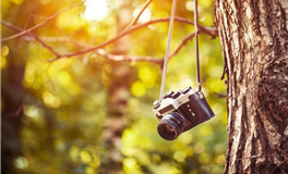 Ezoey徐佩玲狮子座2026年运势