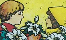 爱莎公主白羊座一周塔罗运势（11.10-11.16）