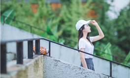 张鑫龙每日通盛+生肖运势 2025年11月19日