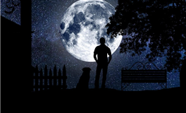 星座日运 2025年11月16日 星期日 农历九月廿七