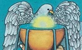 爱莎公主双鱼座一周塔罗运势（11.24-11.30）