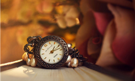 猴年人的好运指南：2026年运势解析