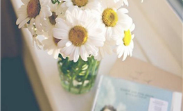 廖予占星：双子座2025年12月运势