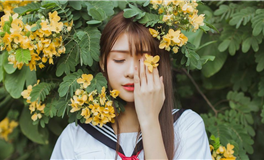 玛法达一周星座运势（12.25-12.31）