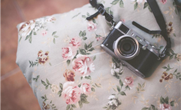 艾菲尔生肖鸡2026年运势