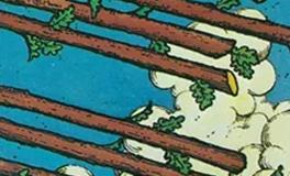 爱莎公主狮子座一周塔罗运势（12.8-12.14）