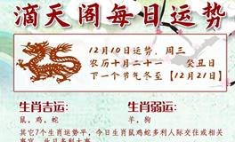 滴天居士2025年12月10日生肖运势