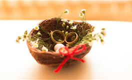 懂得自我宠爱，绝不亏待自己的星座女