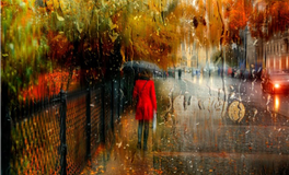 易鑫生肖牛2026丙午年运势