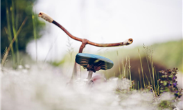 熊神进十二生肖2025年12月11日吉时吉事提点