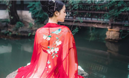 生肖牛2026丙午年整体运程