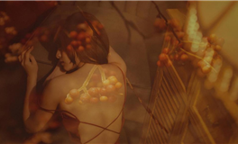 APP白羊座2026年运势