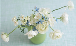 判答处女座2026年2月运势