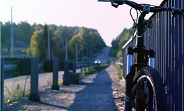 苏民峰：属虎人2026年1月运势/己丑月运势（1.5-2.3）