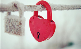 苏珊米勒2026年1月双子座运势